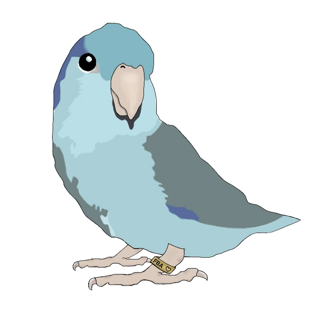 Featherbelle Aviary Parrotlet Breeder Birds for Sale